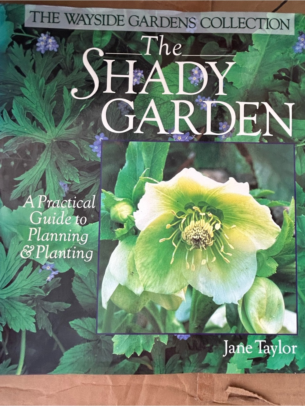 The Shady Garden by Jane Taylor - Green Floral Cover